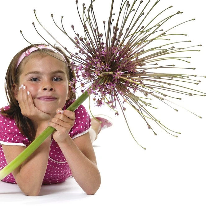 Stranger Than Fiction Flower Bulb Collection 4 Stranger Than Fiction Flower Bulb Collection - Image 2