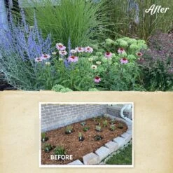 August Afternoons Pre-Planned Garden -High country gradens august afternoons before after