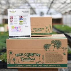 August Afternoons Pre-Planned Garden -High country gradens august ppg ship