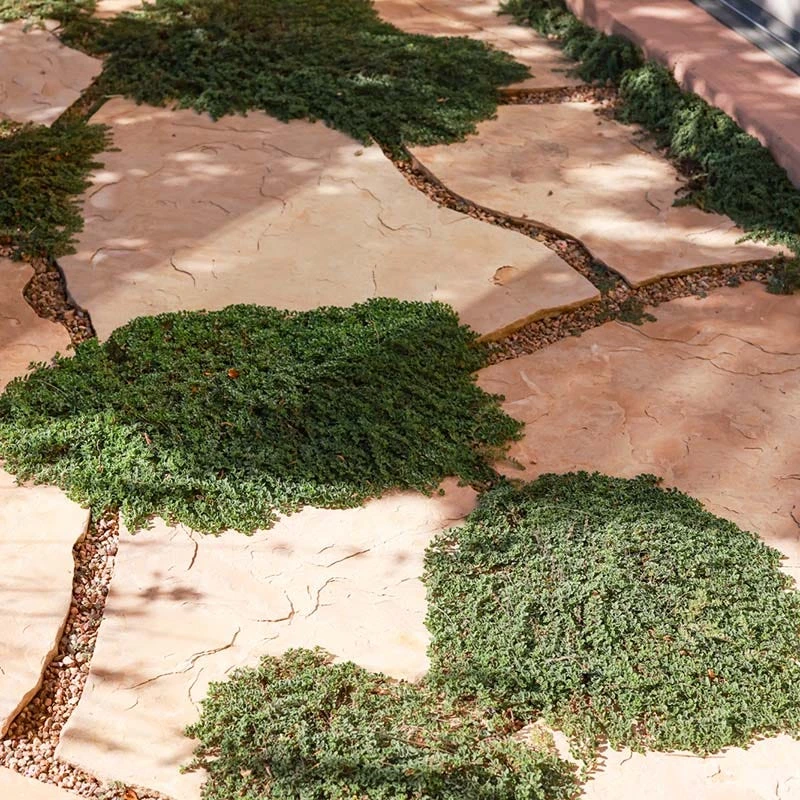 Blue Reflection® Veronica 4 Blue Reflection® Veronica - Image 2