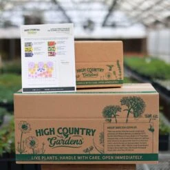 Butterfly Paradise Pre-Planned Cottage Garden -High country gradens butterfly ppg ship