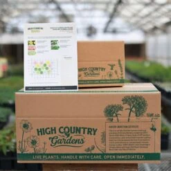 Fabulous Flowers & Foliage Shade Pre-Planned Garden -High country gradens fabulous ppg shp