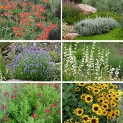 FireSmart Collection - Zone 2 -High country gradens firewise zone 2 10 15 24