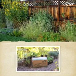 Habitat Hero Birdwatcher Pre-Planned Garden -High country gradens habitat hero before after