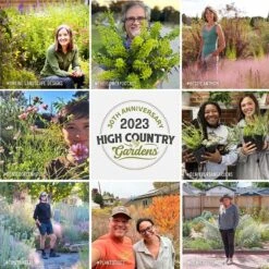 Native Dry Area Wildflower Seed Mix 16 Native Dry Area Wildflower Seed Mix -High country gradens hcg pdp persuasion social proof v3 1 1 6