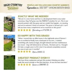 Dog Tuff™ Grass Plugs -High country gradens hcg pdp testimonials dog tuff