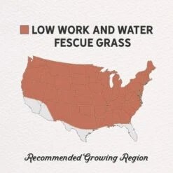 Low Work And Water Dwarf Fescue Grass Seed -High country gradens low work and water seed mix regions