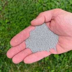 Microclover Seed (Pelleted) 11 Microclover Seed (Pelleted) -High country gradens microclover pellets sq