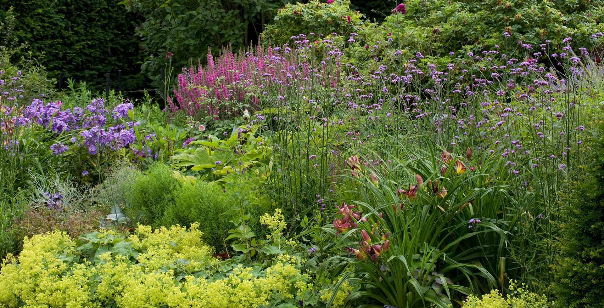 High country gradens -High country gradens perennials desktop hero 1920x978 1