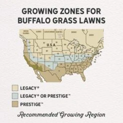Prestige™ Buffalo Grass Plugs -High country gradens prestige and legacy gph regions 1