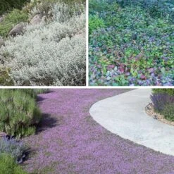 Quick Cover Collection 9 Quick Cover Collection -High country gradens quick cover collection collage