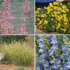 High Country Gardens Signature Collection -High country gradens spring high country garden signature collection