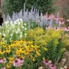 Summer Dreams Pre-Planned Garden -High country gradens summer dreams c0400 2 3