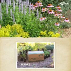 Summer Dreams Pre-Planned Garden -High country gradens summer dreams before after