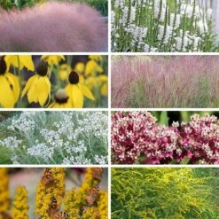 Watershed Wise Pre-Planned Garden -High country gradens watershed wise collage8 26 25